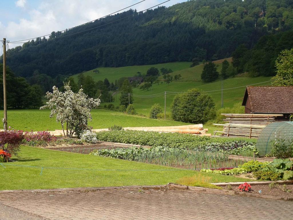 Apartments Zipperhof Lahr  Εξωτερικό φωτογραφία
