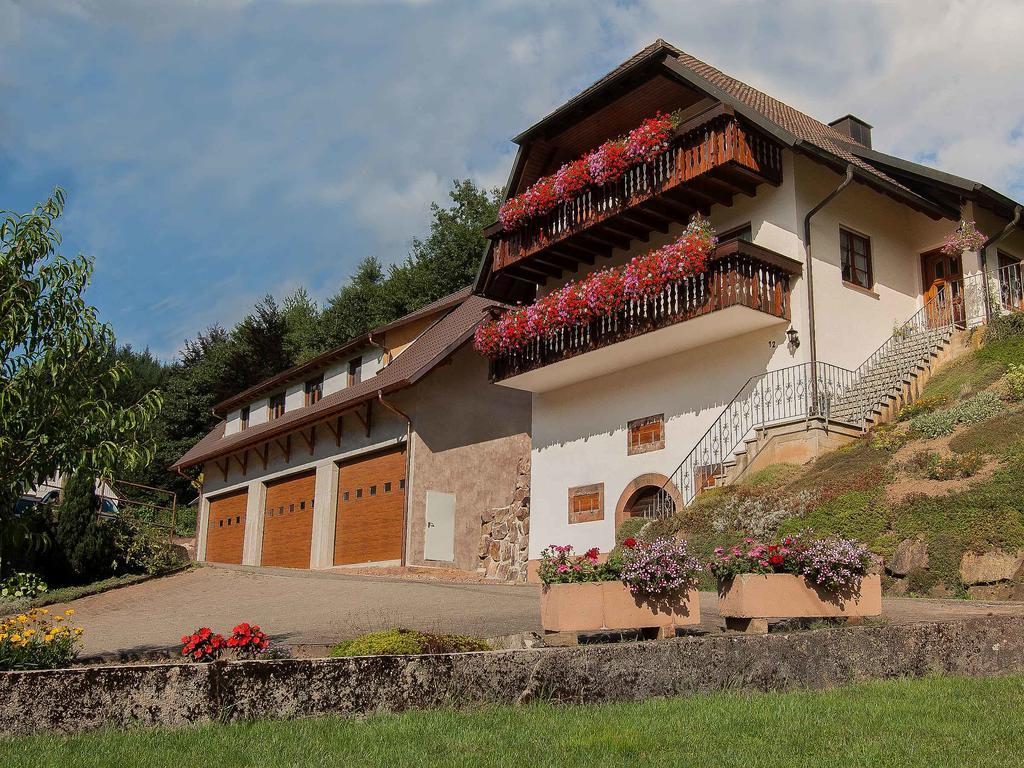 Apartments Zipperhof Lahr  Εξωτερικό φωτογραφία