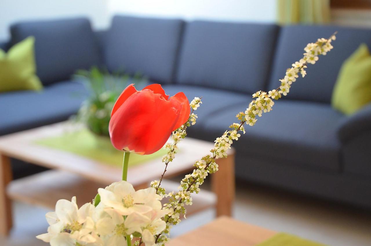 Apartments Zipperhof Lahr  Εξωτερικό φωτογραφία
